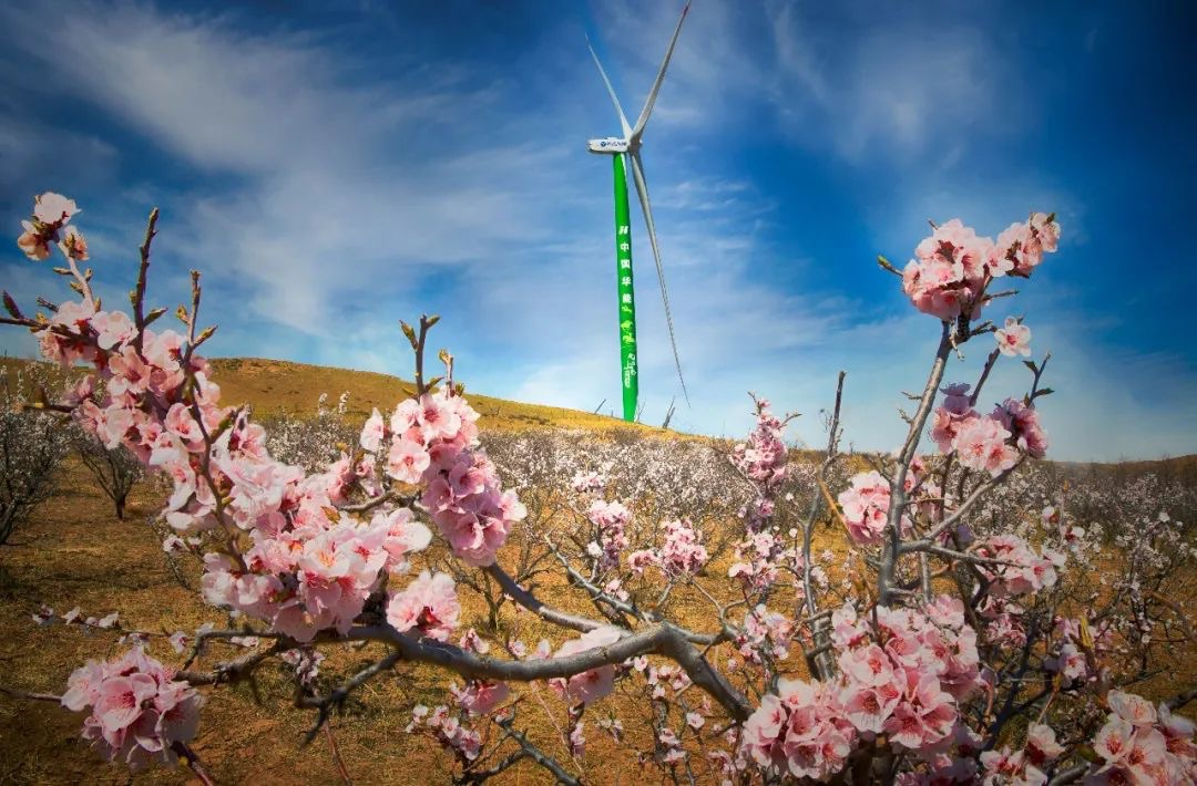 金沙乐娱场5555199vip(中国游)官方网站