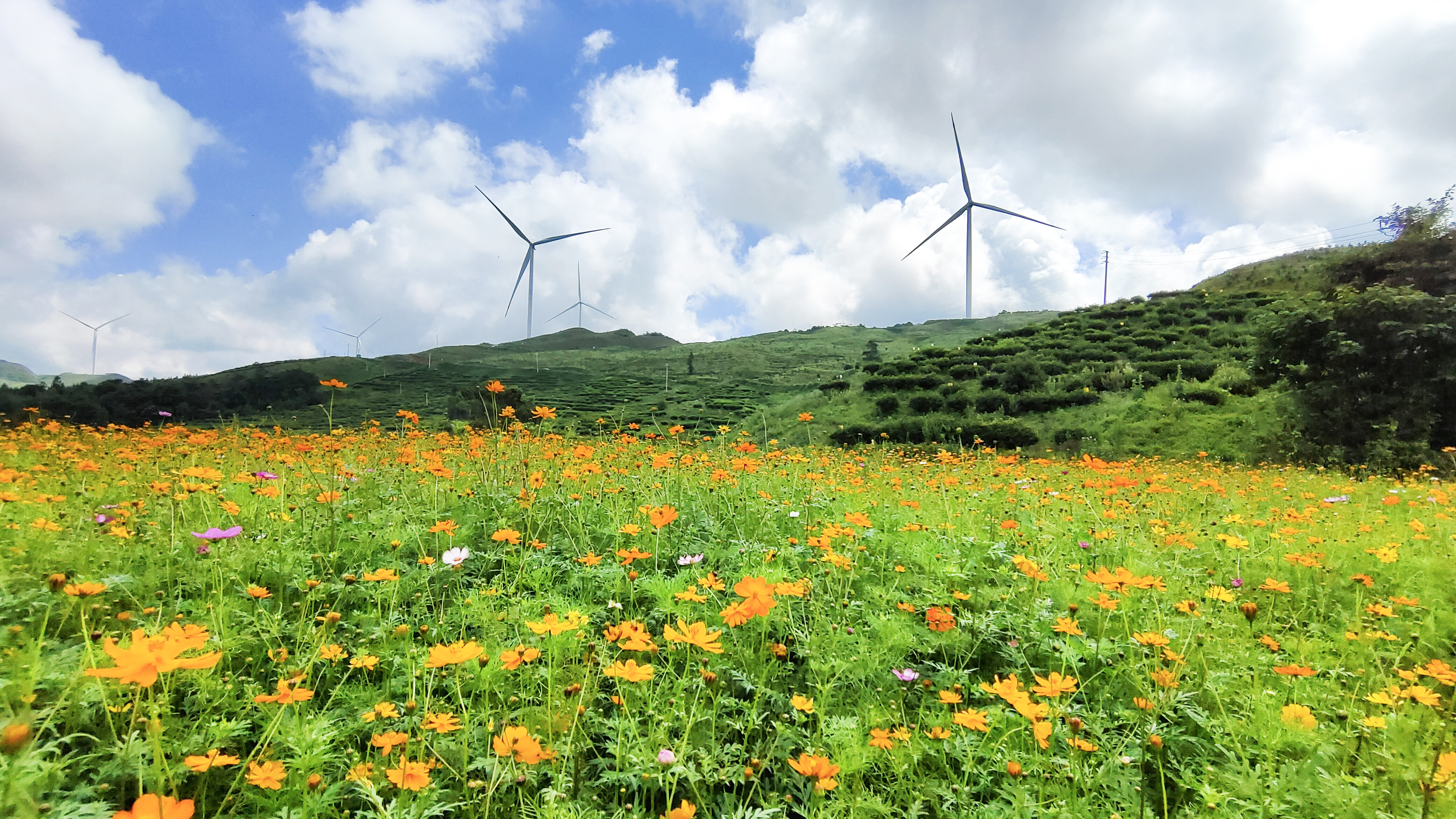 金沙乐娱场5555199vip(中国游)官方网站