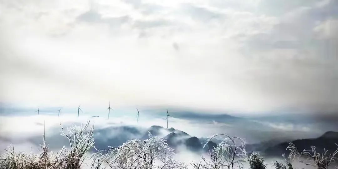 金沙乐娱场5555199vip(中国游)官方网站